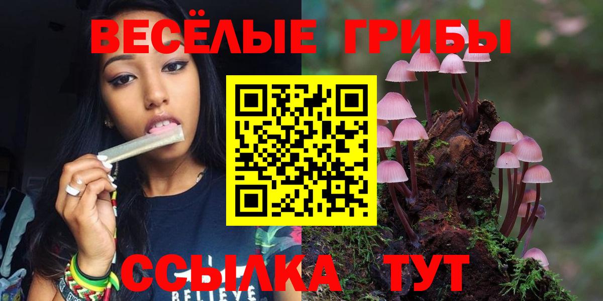 Галлюциногенные грибы MAGIC MUSHROOMS Калининград