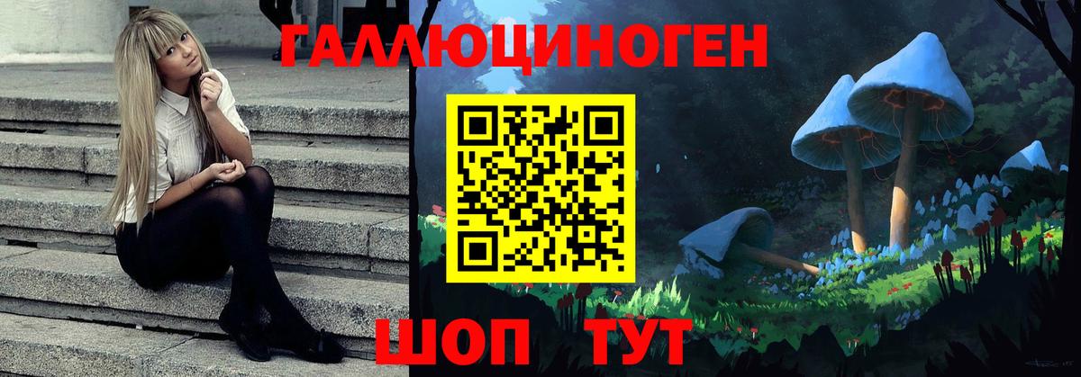 Псилоцибиновые грибы MAGIC MUSHROOMS  наркота  Калининград  Вход с VPN 